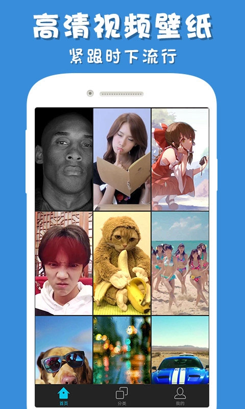 彩蛋视频壁纸官方最新版图3