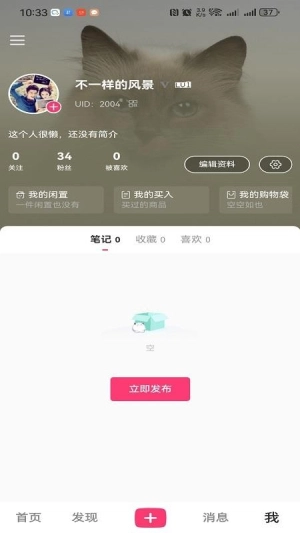 丢铺无广告版图2