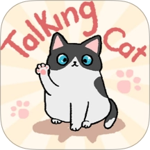 趣味找猫猫通用版