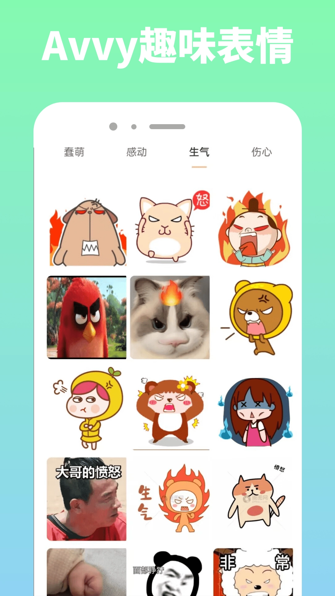 Avvy官方正版