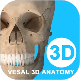 维萨里3D解剖安卓版 V6.9.5