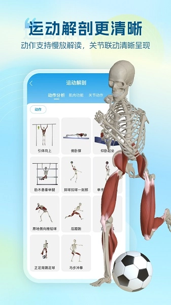 维萨里3D解剖安卓版图1