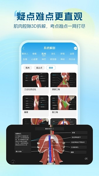 维萨里3D解剖安卓版图3