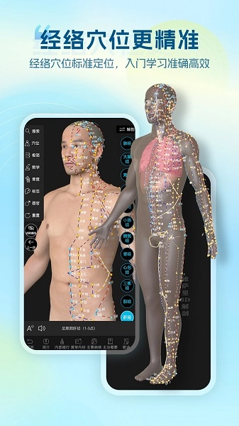 维萨里3D解剖安卓版图4