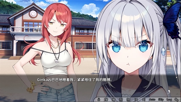 GINKA银花正版(5)