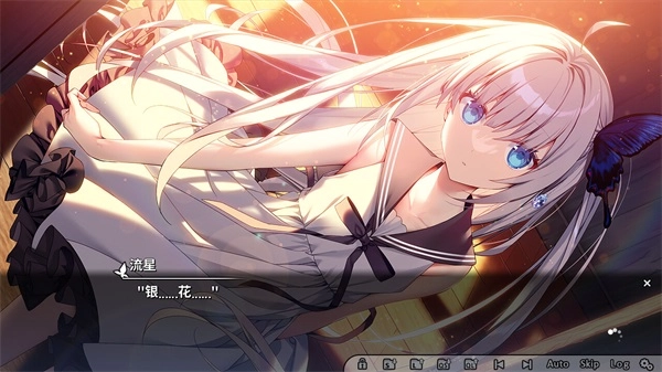GINKA银花正版(7)