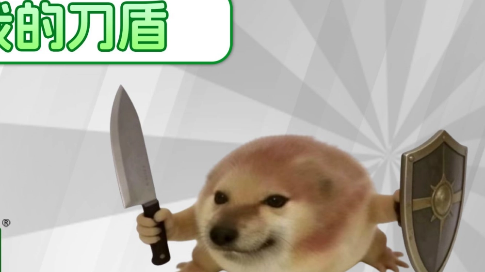 我的刀盾免费原版(1)