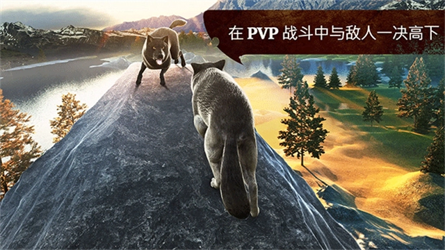狼族游戏最新版(1)