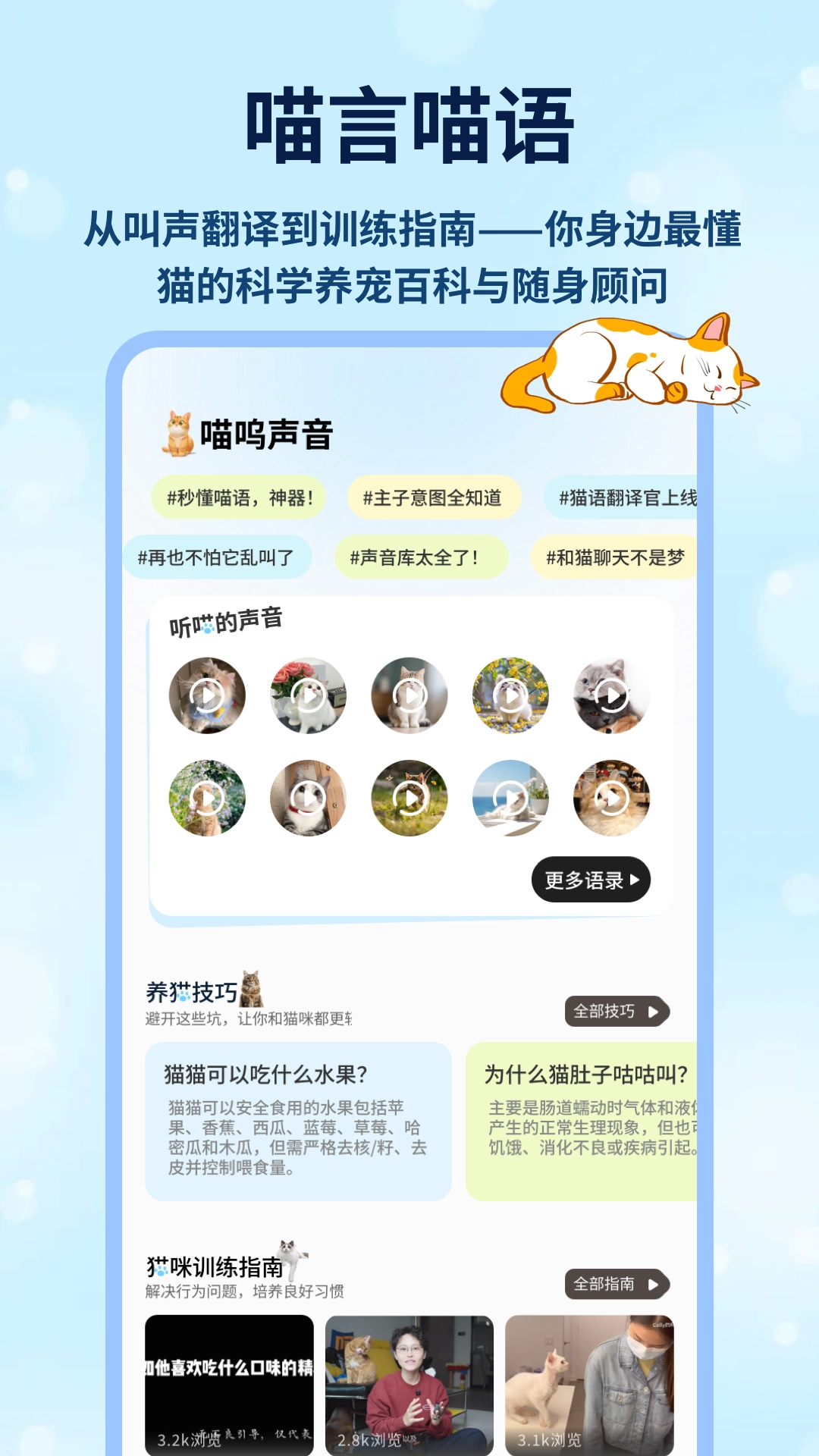治愈猫咪官方版图2