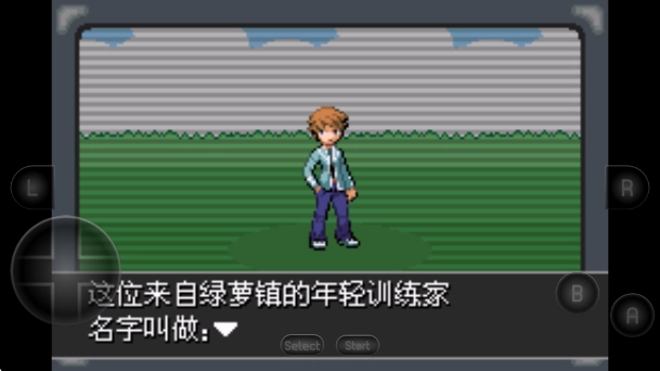 口袋妖怪紫光游戏安装包(4)