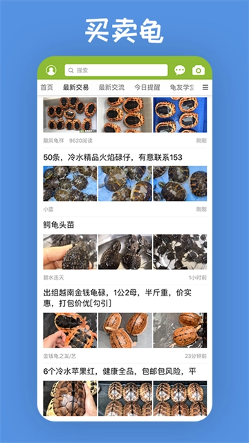 龟友天下安卓版