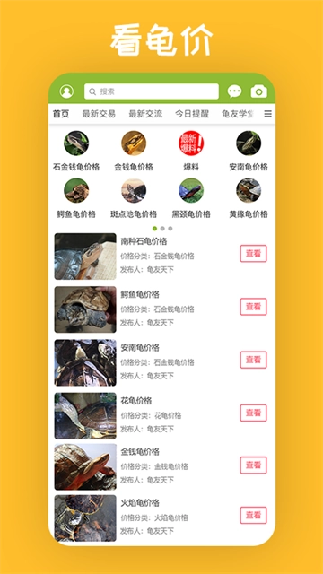 龟友天下安卓版
