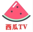 西瓜TV免费版