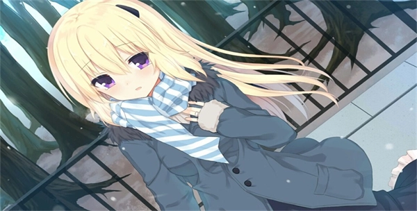 IRIS直装版(1)