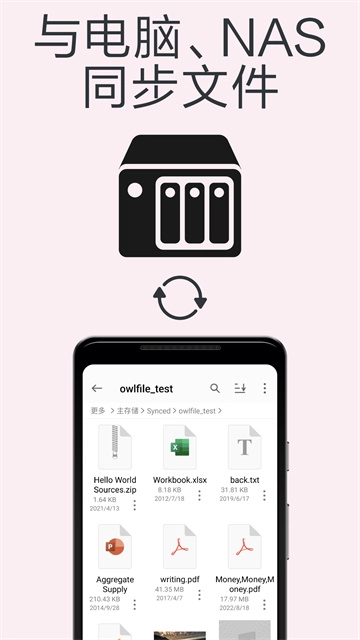 猫头鹰文件正版图1