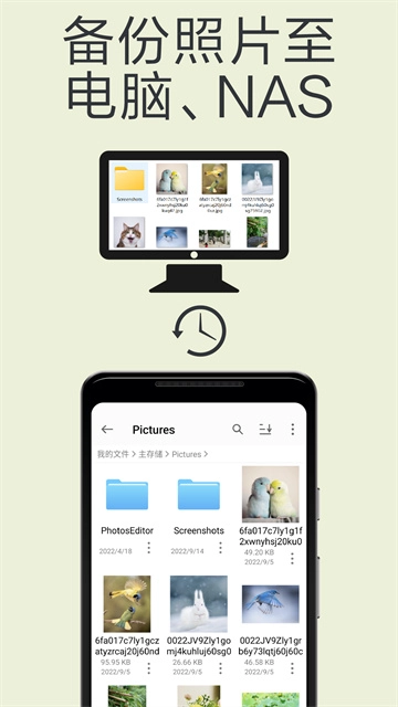 猫头鹰文件正版图4