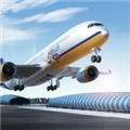 航空公司指挥官全飞机解锁版