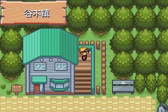口袋妖怪釉色游戏最新版图1