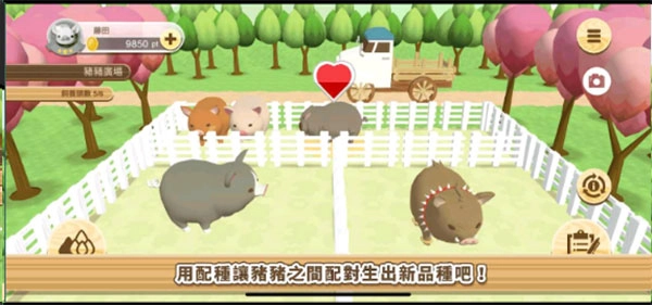 养猪场3D最新免费版(2)