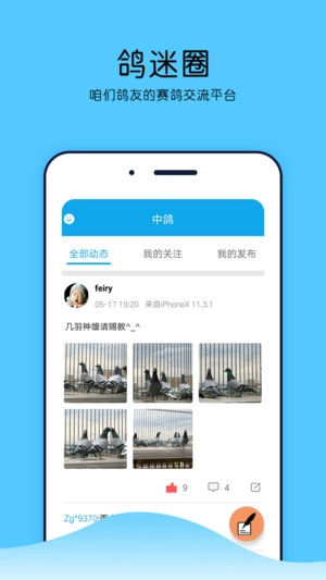 中鸽网通用版图1