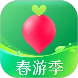 叮咚买菜安卓官方版