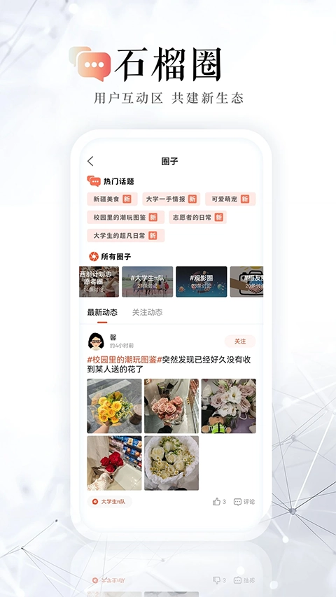 新疆石榴云平台原版