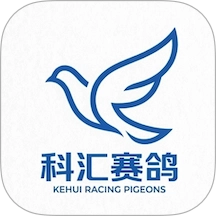 科汇赛鸽无广告版