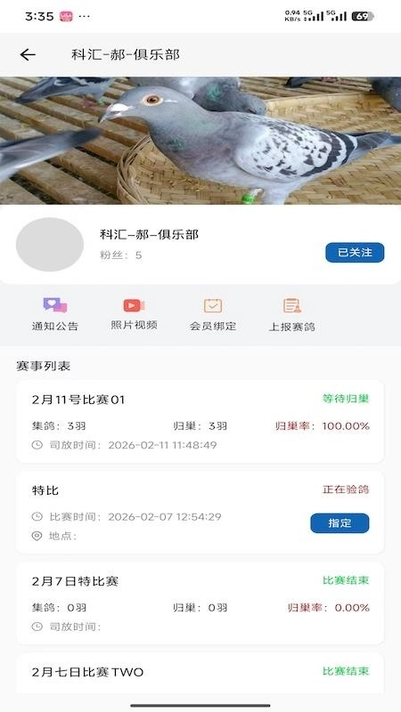 科汇赛鸽无广告版图2