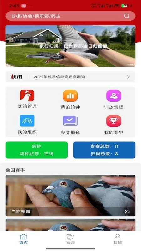 科汇赛鸽无广告版图4