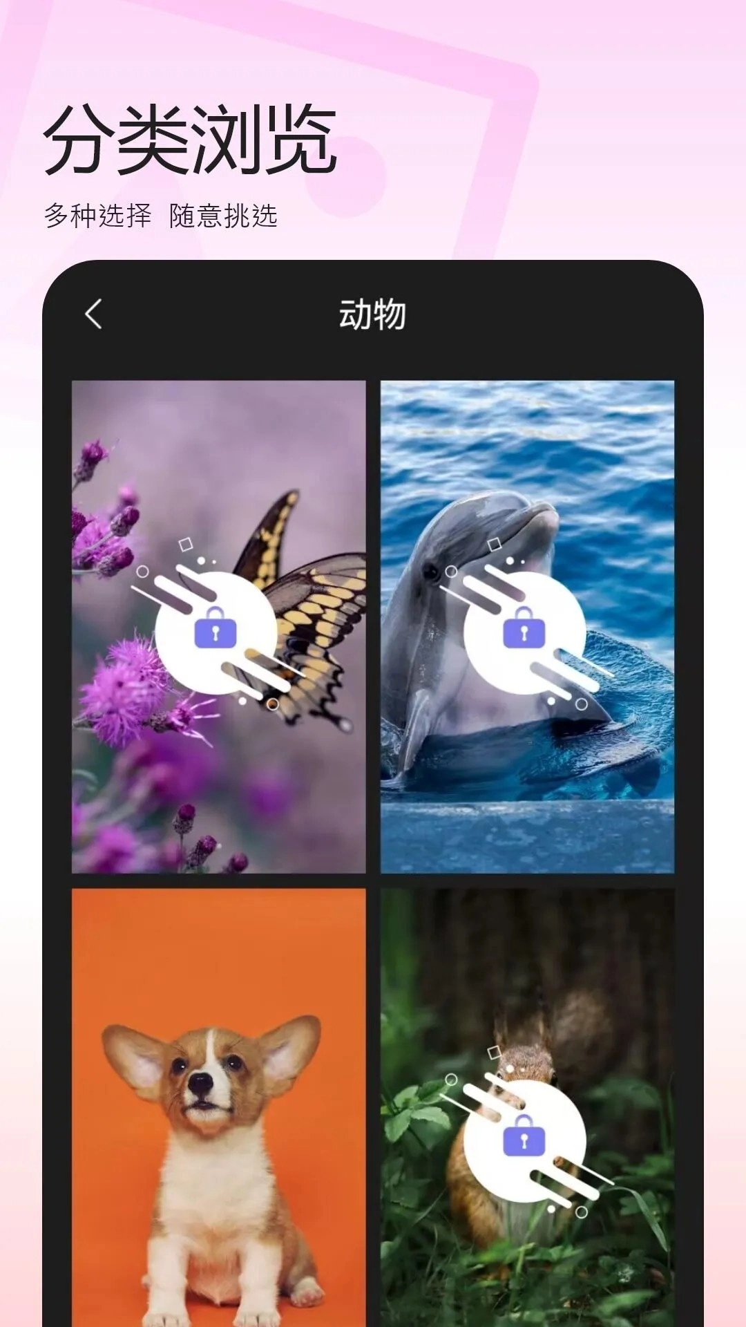 百变换壁纸无广告版图2