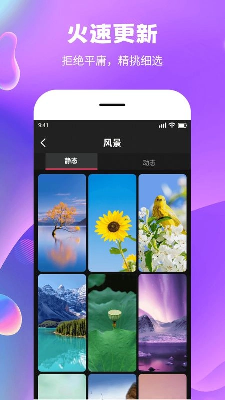 全民精选壁纸通用版图3