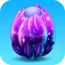 合合大陆汉化版 v3.40.0