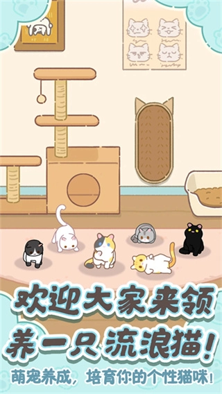 领养一只流浪猫2026版图3
