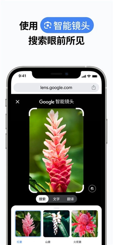 Chrome安卓官方版图2