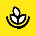燕麦烘焙免费版