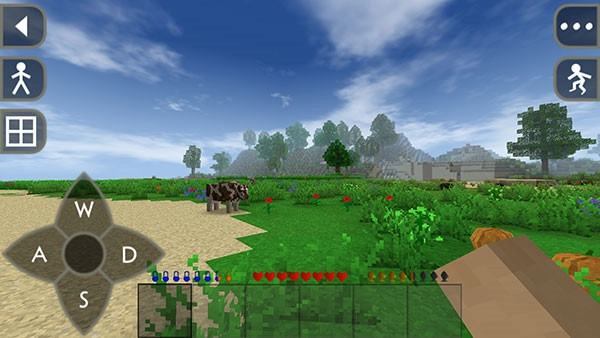 Survivalcraft2游戏纯净版图3