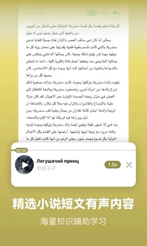 莱特阿拉伯语背单词通用版图4