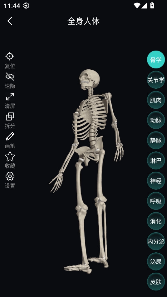 掌上3d解剖安卓官方版图4