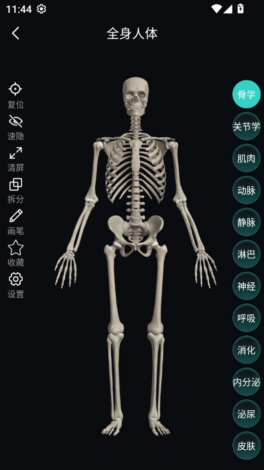 掌上3d解剖安卓官方版图3