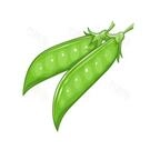 扁豆小说手机最新版