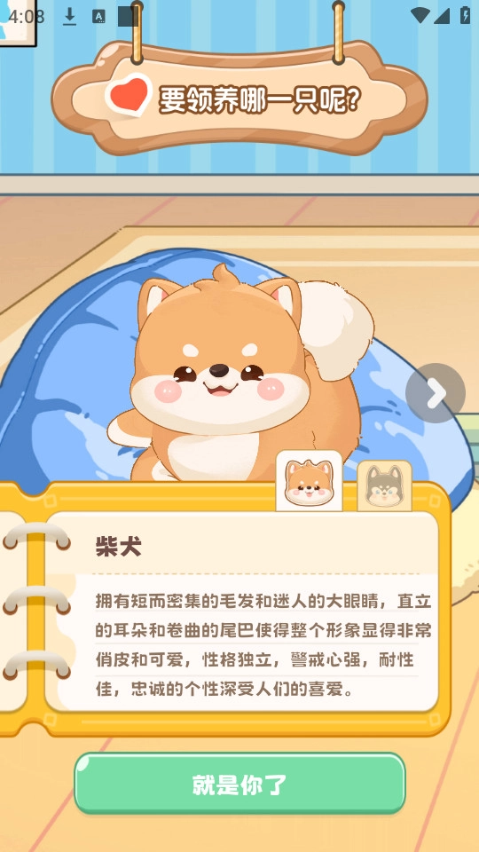 桌面汪免费版图6