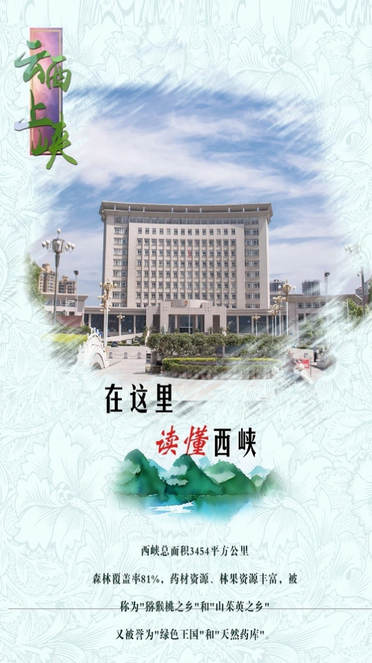 云上西峡安卓直装版图2