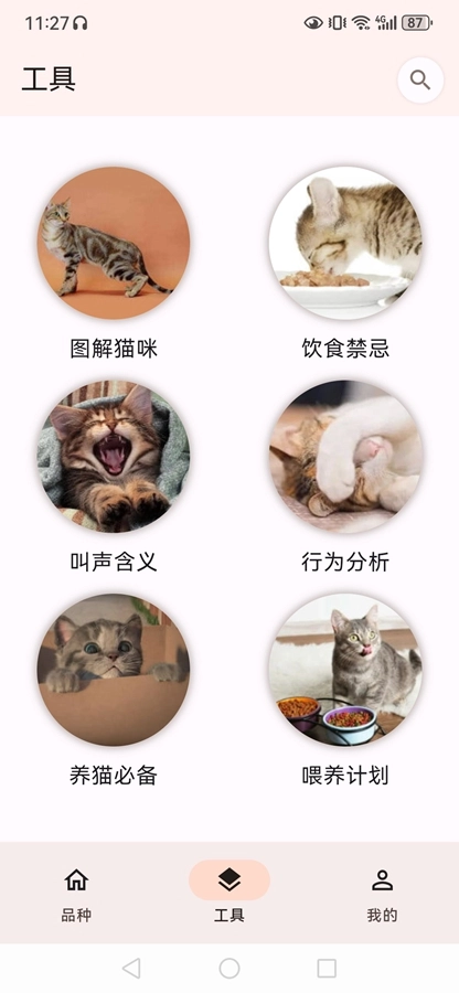 猫品种大全安卓直装版图3