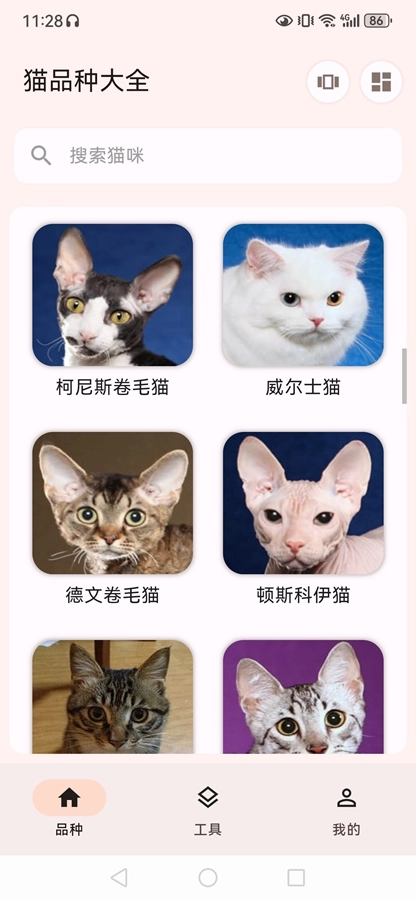 猫品种大全安卓直装版图6