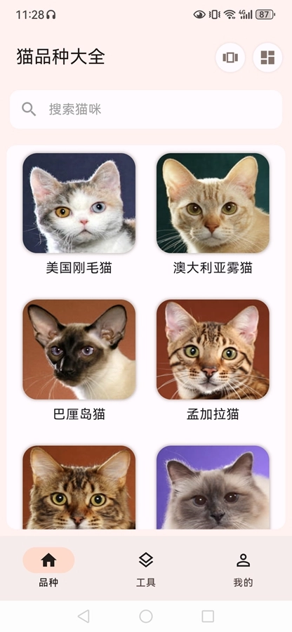 猫品种大全安卓直装版图4
