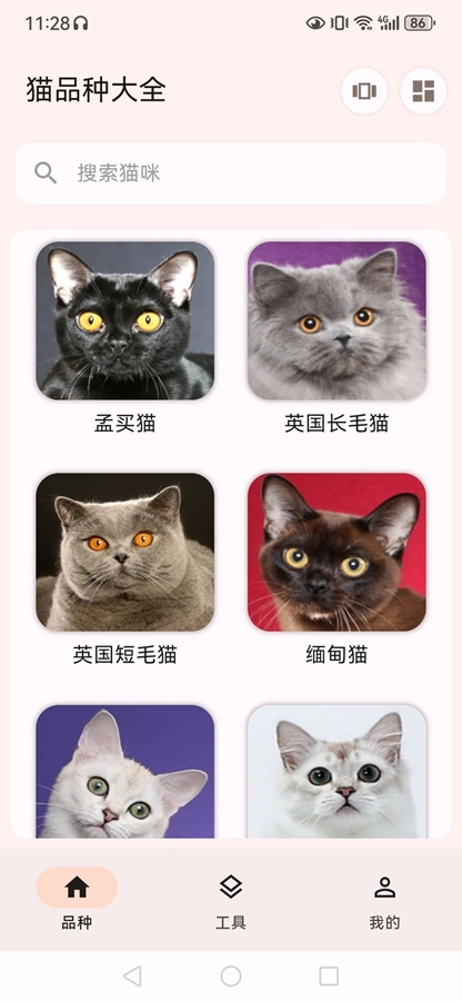 猫品种大全安卓直装版图5