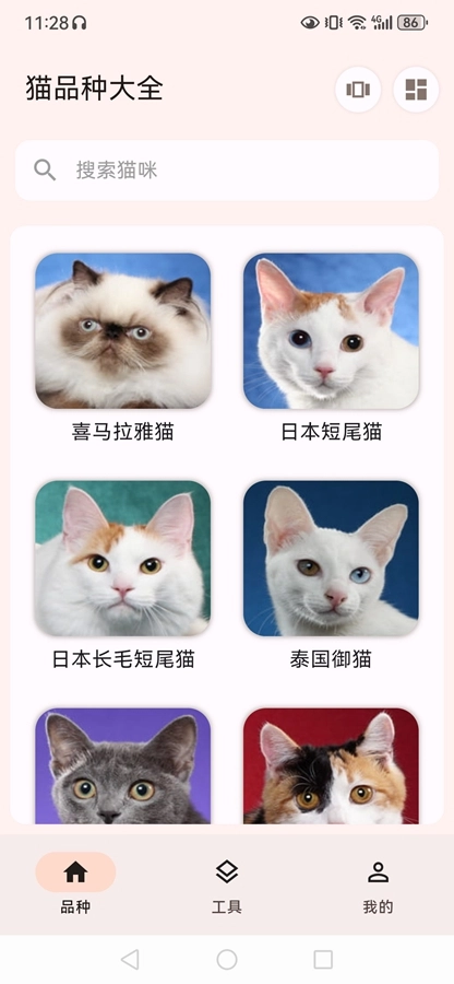 猫品种大全安卓直装版图7