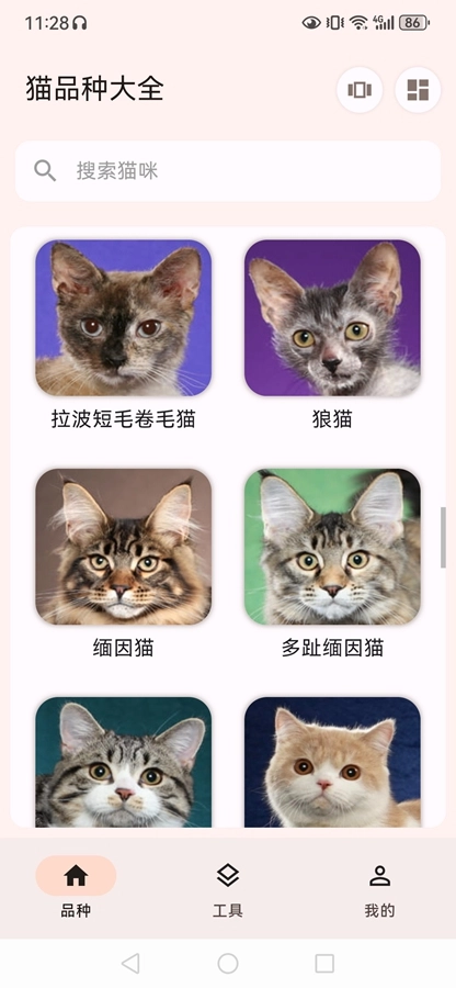 猫品种大全安卓直装版图8