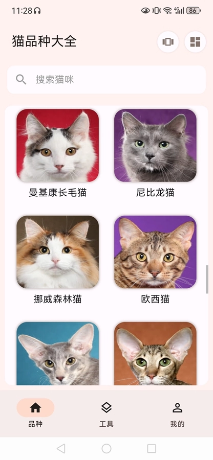 猫品种大全安卓直装版图9