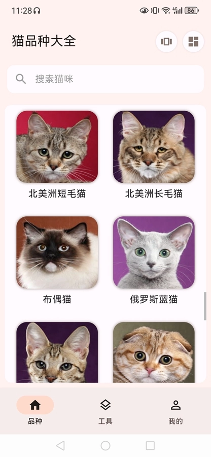 猫品种大全安卓直装版图10